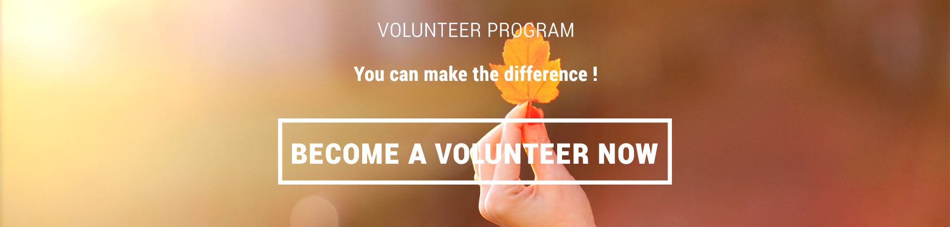 Volunteer Program